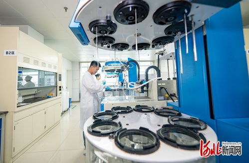 奮力譜寫中國式現代化建設河北篇章 | 解碼石藥 創新引領的“藥”素密碼