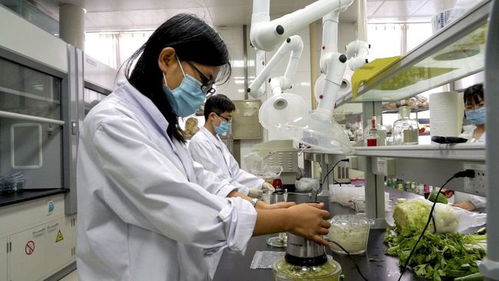 安丘市推進農(nóng)產(chǎn)品檢驗檢測流程再造，開啟檢測信息共享新篇章